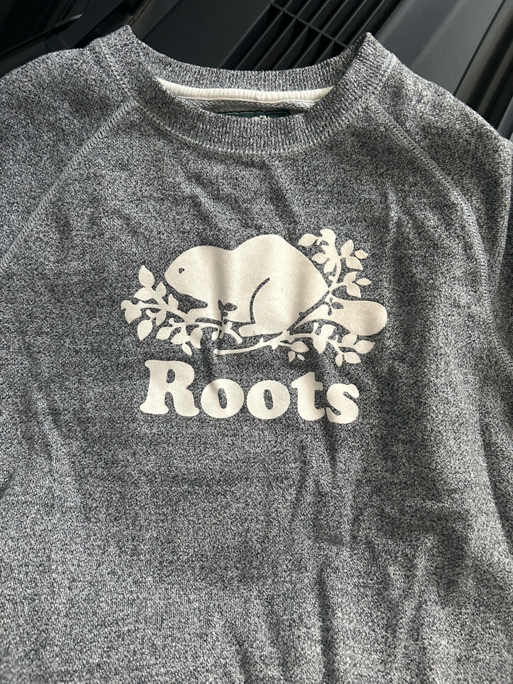 Gray 'Roots' Crewneck Sweater with Graphic Logo women small